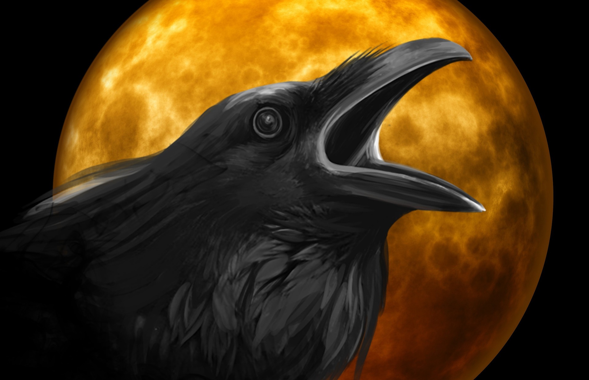 Raven scare crow