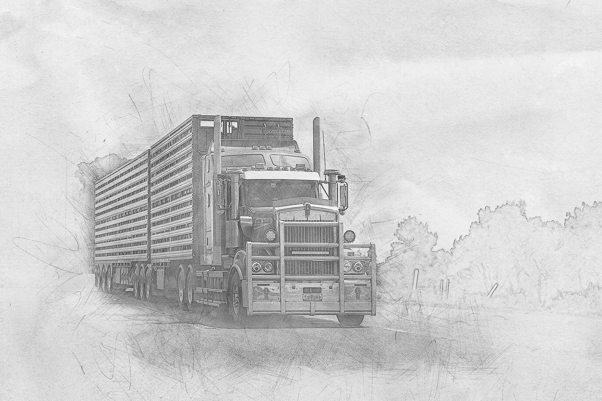 Canadian Trucker Freedom Convoy