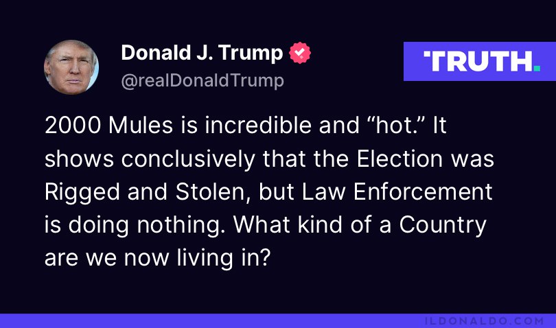 Trump on 2000 Mules