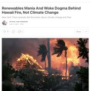 Renewables Mania And Woke Dogma Behind Hawaii Fire, Not Climate Change