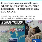 Mystery Pneumonia Tears Through Schools in China