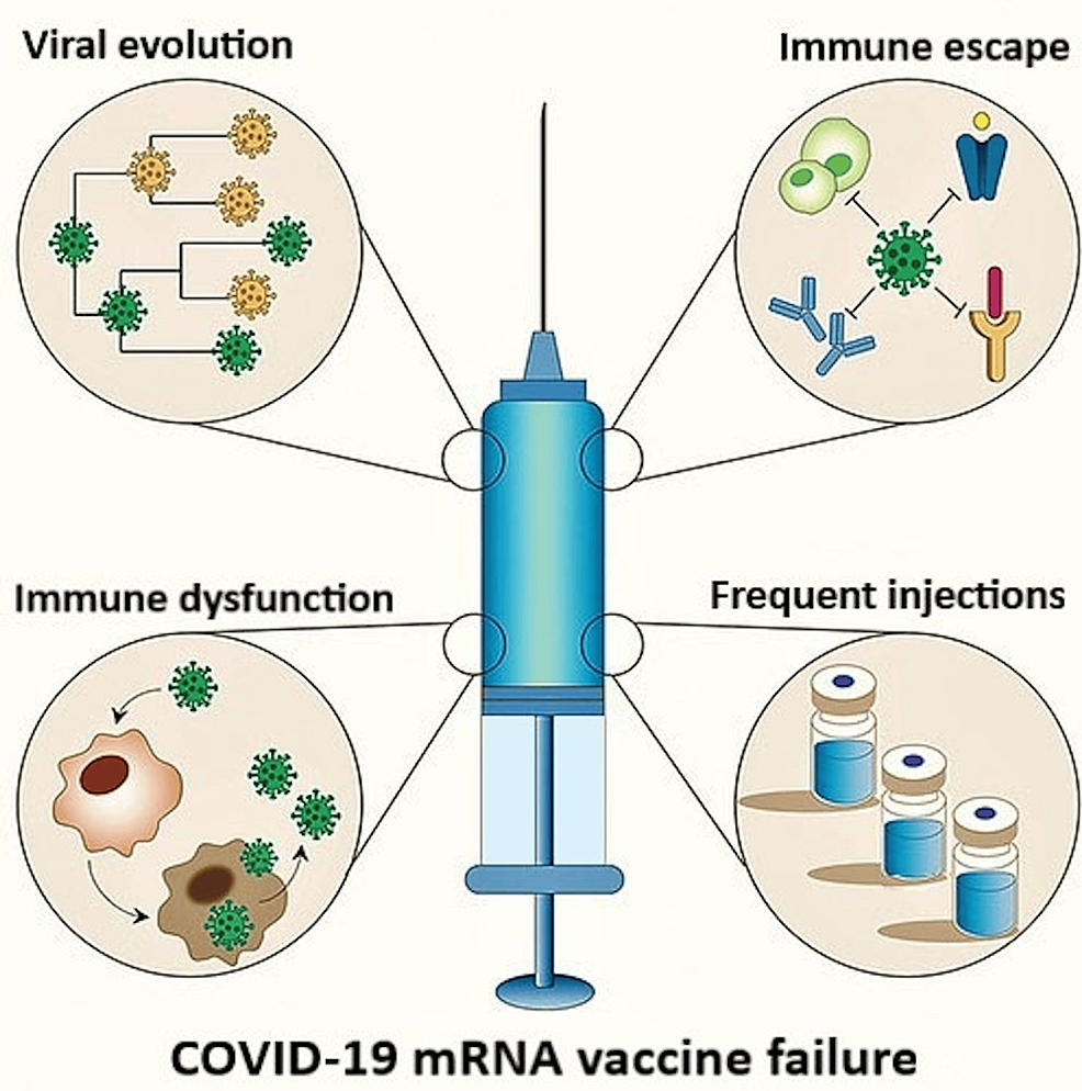 Peer-Reviewed Study: mRNA COVID-19 Vaccines Caused More Deaths Than Saved