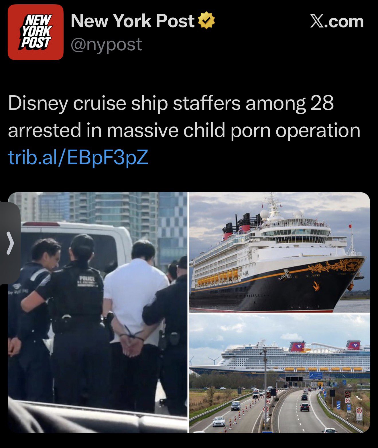 Disney Cruise Ship Crew Members Among 28 Foreign Workers Arrested in Major Child Exploitation Sting